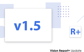 Vision Report+ v1.5