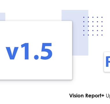 Vision Report+ v1.5